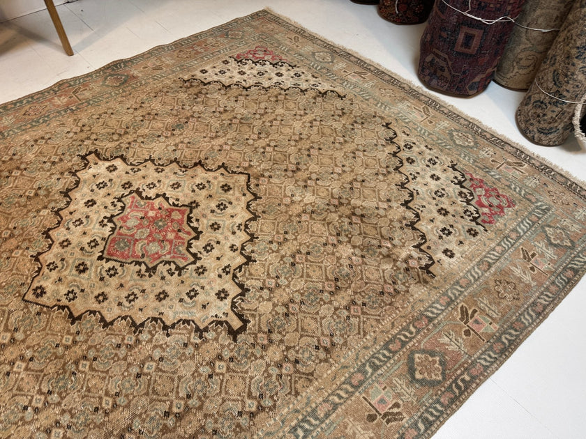 Persian Ardabil Rug | 6' 6” x 8' 11