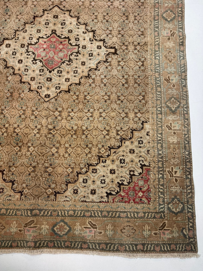 Persian Ardabil Rug | 6' 6” x 8' 11