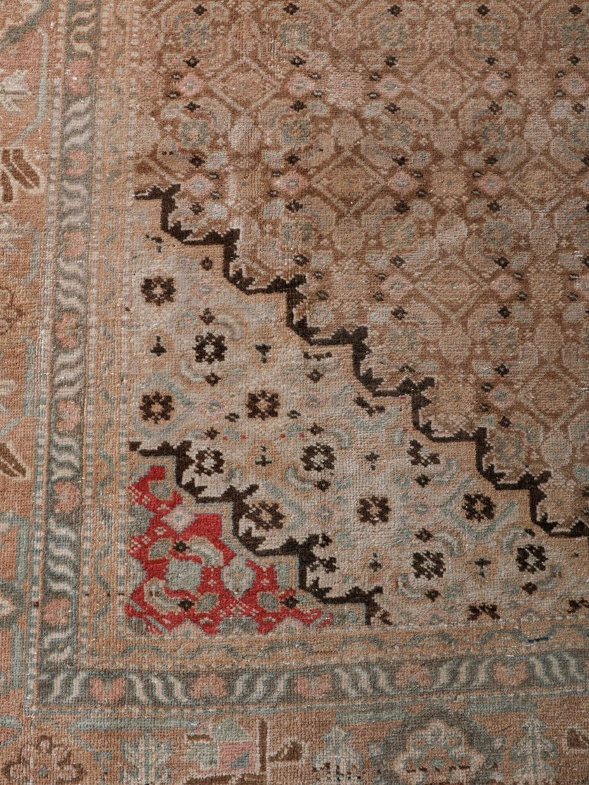 Persian Ardabil Rug | 6' 6” x 8' 11