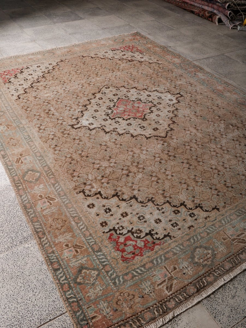 Persian Ardabil Rug | 6' 6” x 8' 11