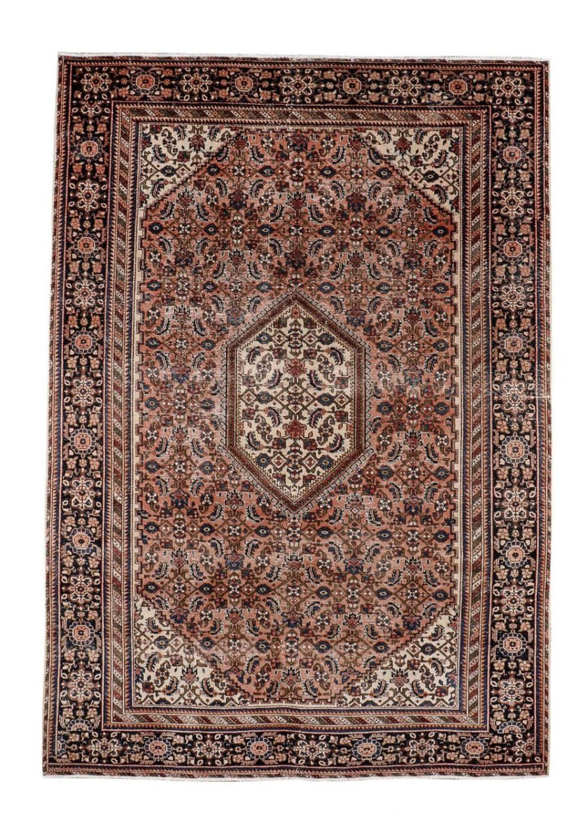 Persian Ardabil Rug | 6' 9