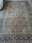 Persian Ardabil Rug | 6' 9