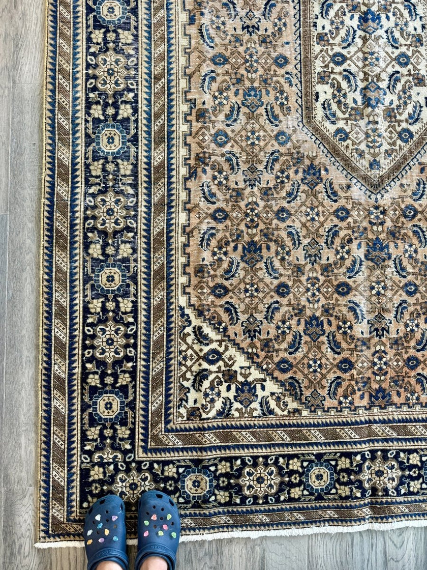 Persian Ardabil Rug | 6' 9