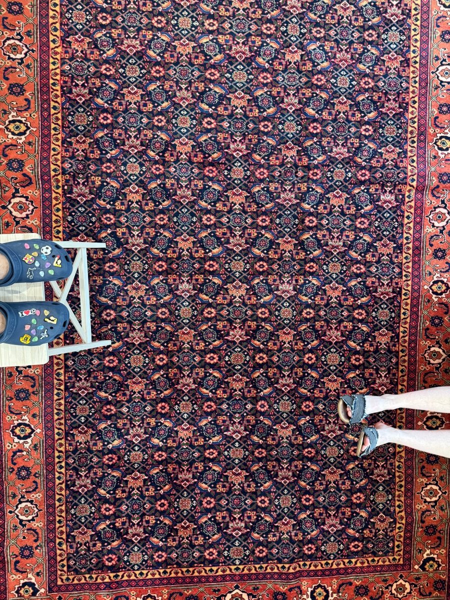On Hold | Persian Ardabil Rug | 7' 3