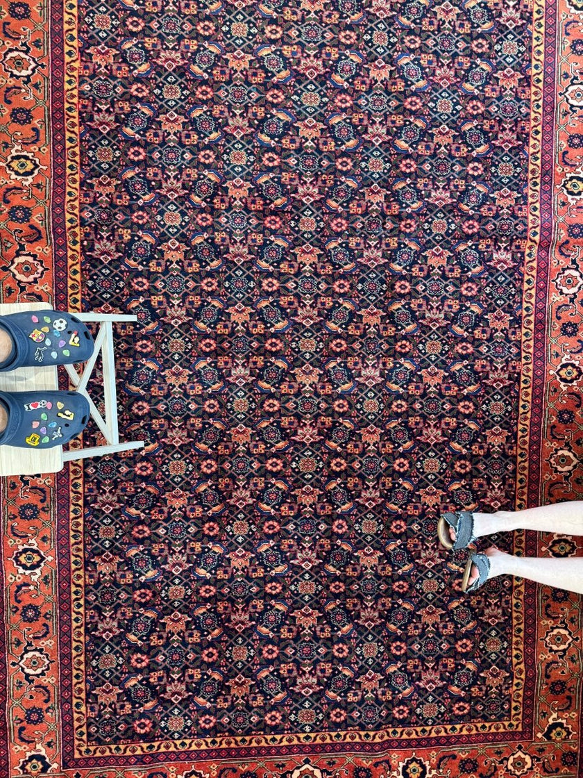 On Hold | Persian Ardabil Rug | 7' 3