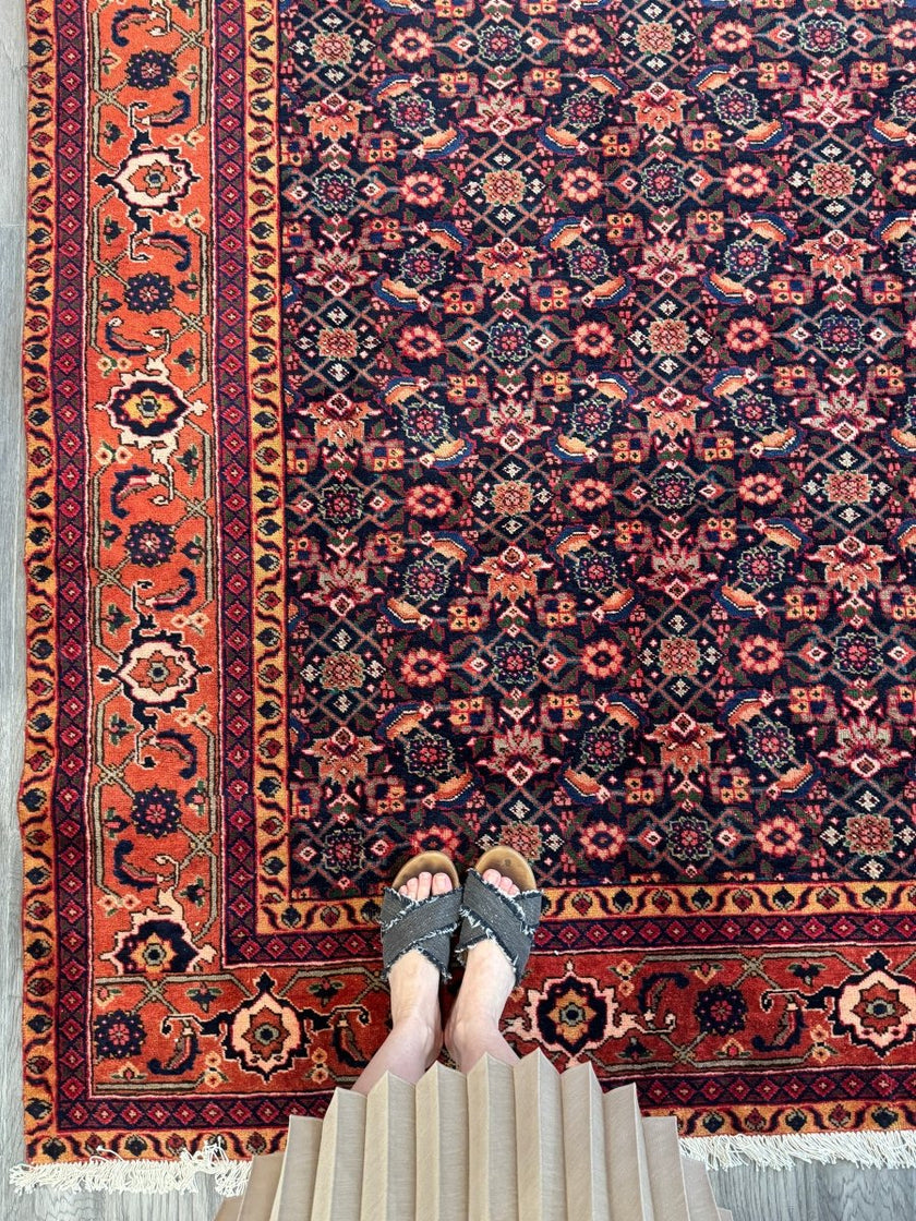 On Hold | Persian Ardabil Rug | 7' 3