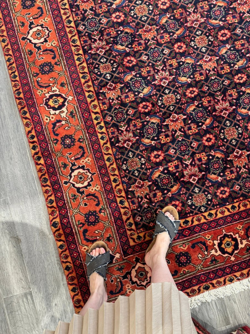 On Hold | Persian Ardabil Rug | 7' 3