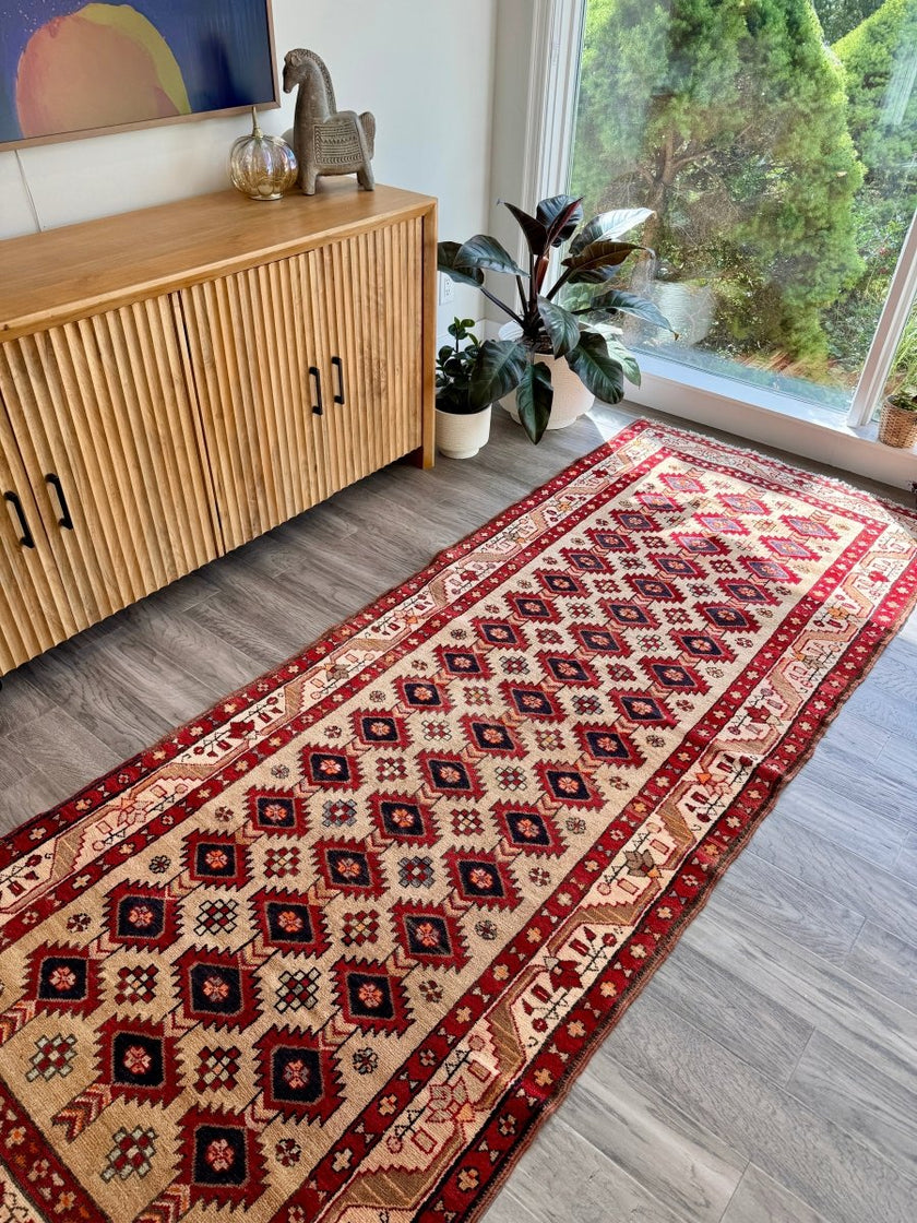 Persian Azerbaijan Runner Rug | 3' 10