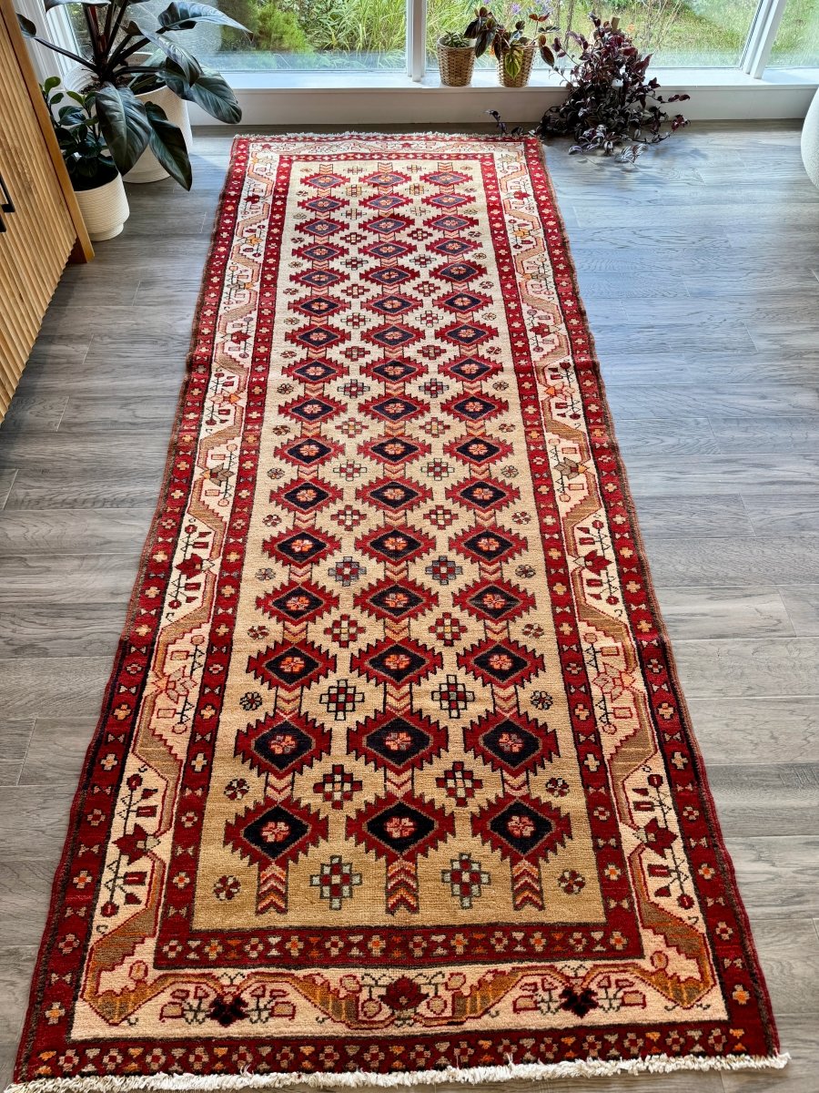 Persian Azerbaijan Runner Rug | 3' 10