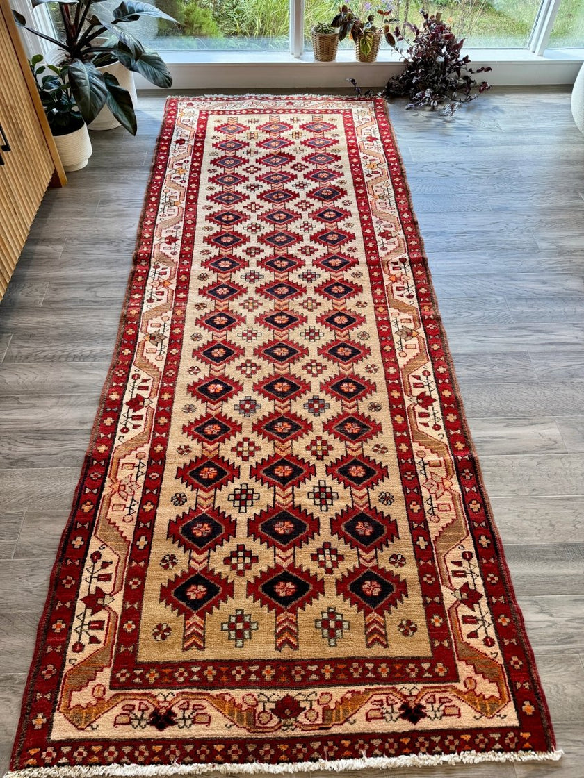 Persian Azerbaijan Runner Rug | 3' 10