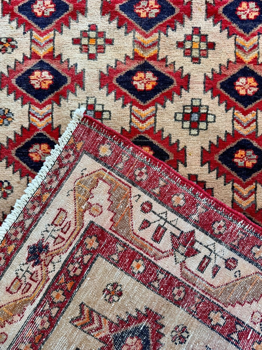 Persian Azerbaijan Runner Rug | 3' 10