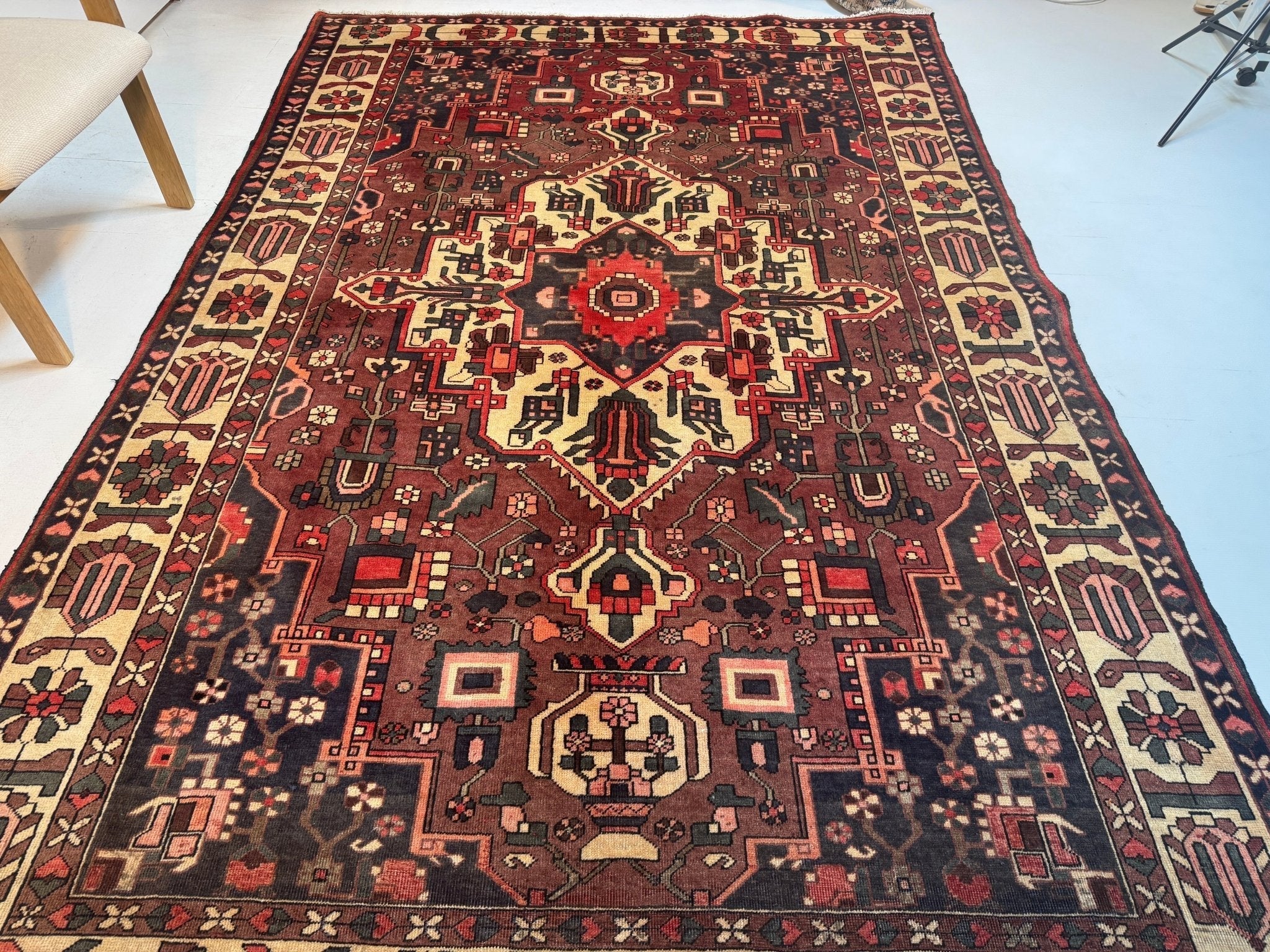 Persian Bakhtiar Rug | 6' 4” x 9' 7