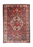 Persian Bakhtiar Rug | 6' 4” x 9' 7