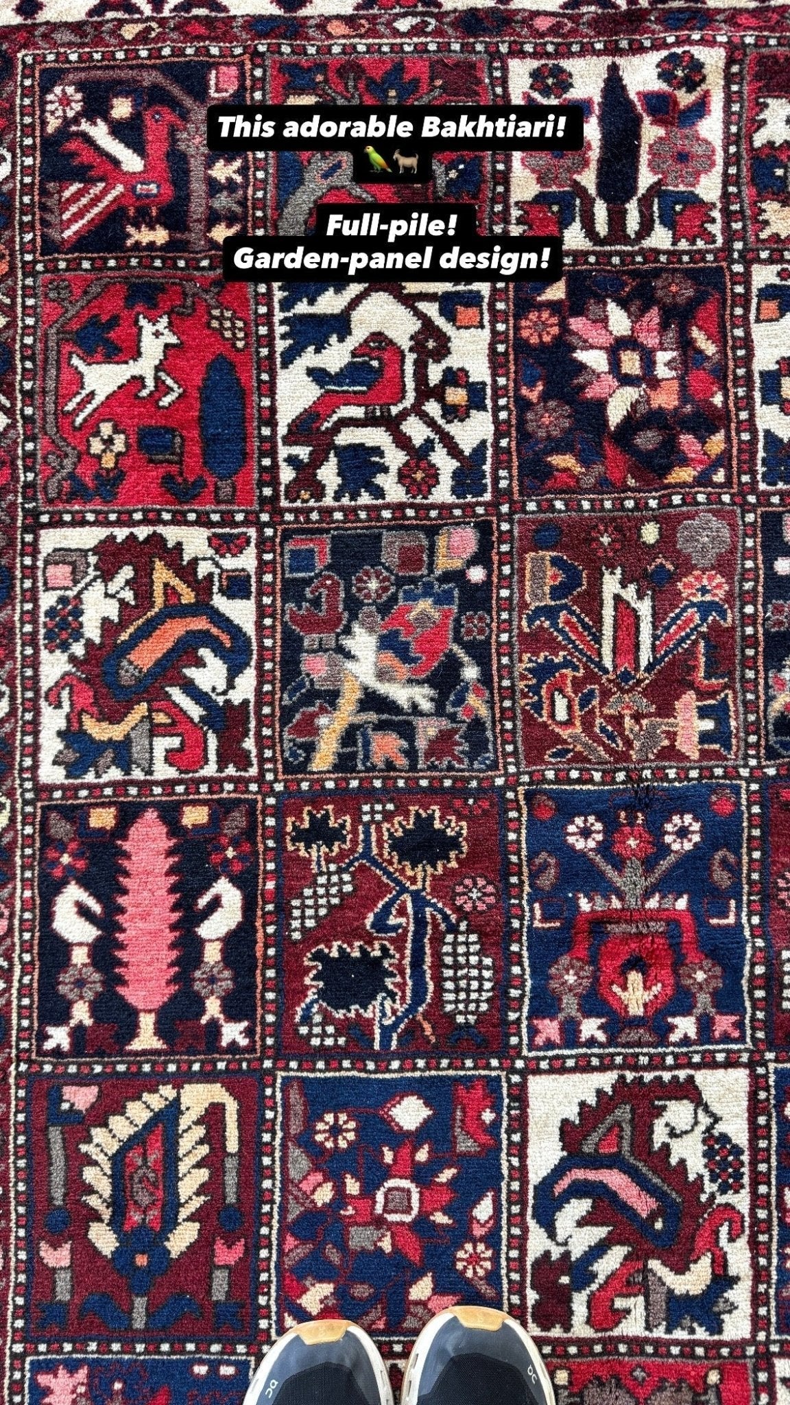 Persian Bakhtiari Rug | 5' 1