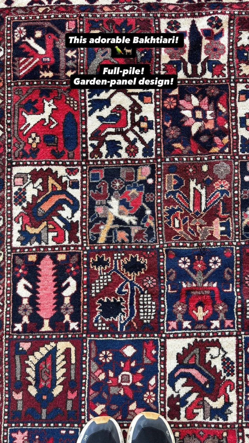 Persian Bakhtiari Rug | 5' 1