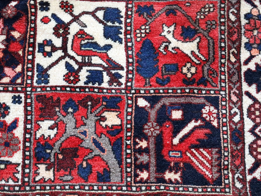 Persian Bakhtiari Rug | 5' 1