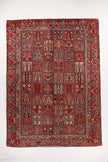 Persian Bakhtiari Rug | 8' 6
