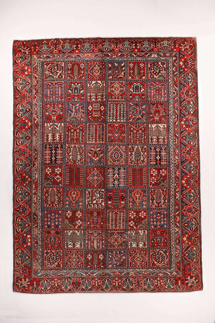 Persian Bakhtiari Rug | 8' 6
