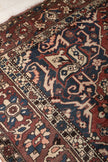 Persian Bakhtiari Rug | 9' 10