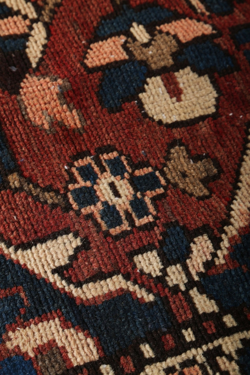 Persian Bakhtiari Rug | 9' 10