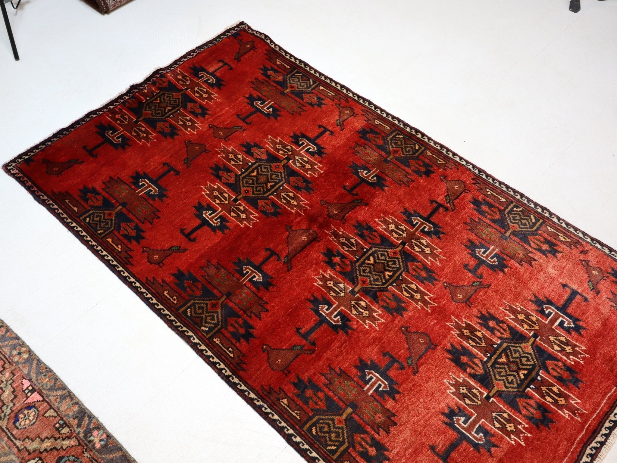 Persian Baluch Rug | 3' 3” x 5' 9