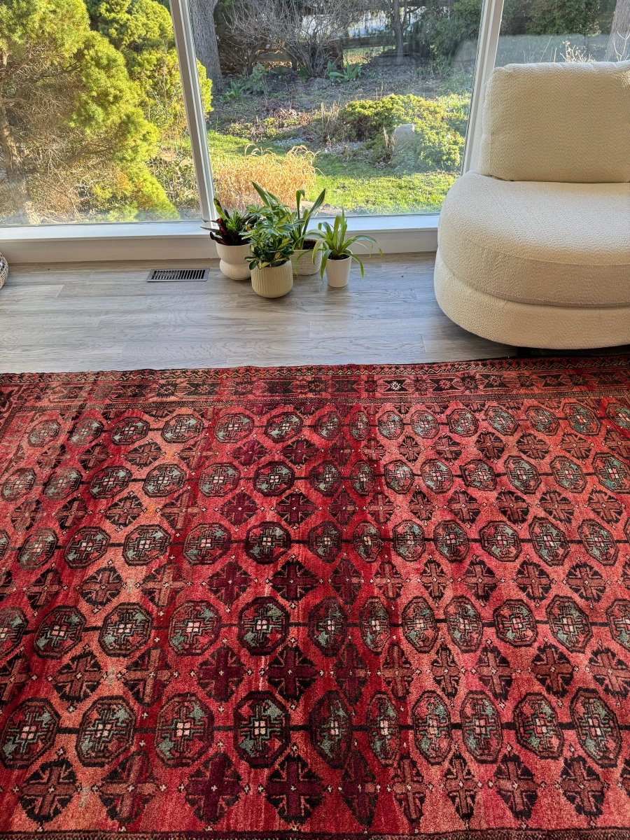 Persian Baluch Rug | 5' 7