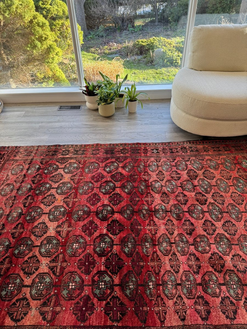 Persian Baluch Rug | 5' 7