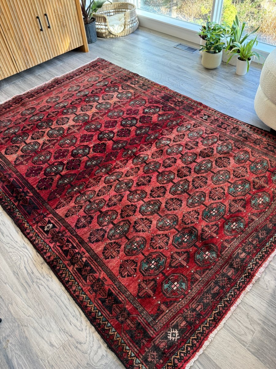 Persian Baluch Rug | 5' 7