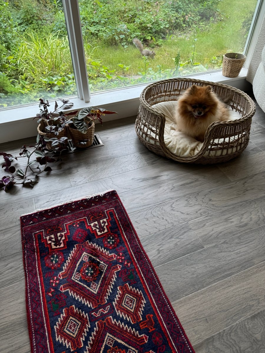 Persian Baluch Runner |  1' 5
