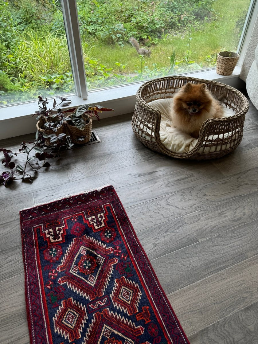 Persian Baluch Runner |  1' 5