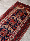 Persian Baluch Runner Rug | 2' 3” x 6' 8