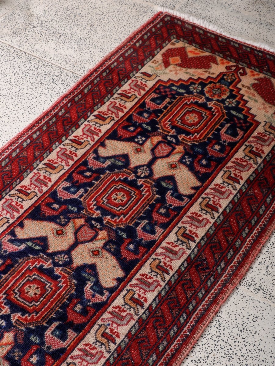 Persian Baluch Runner Rug | 2' 3” x 6' 8