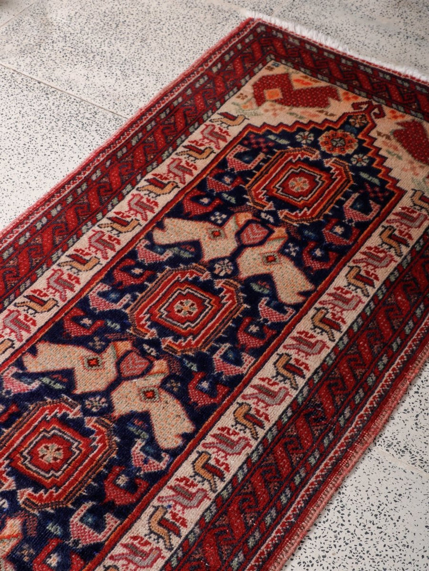 Persian Baluch Runner Rug | 2' 3” x 6' 8