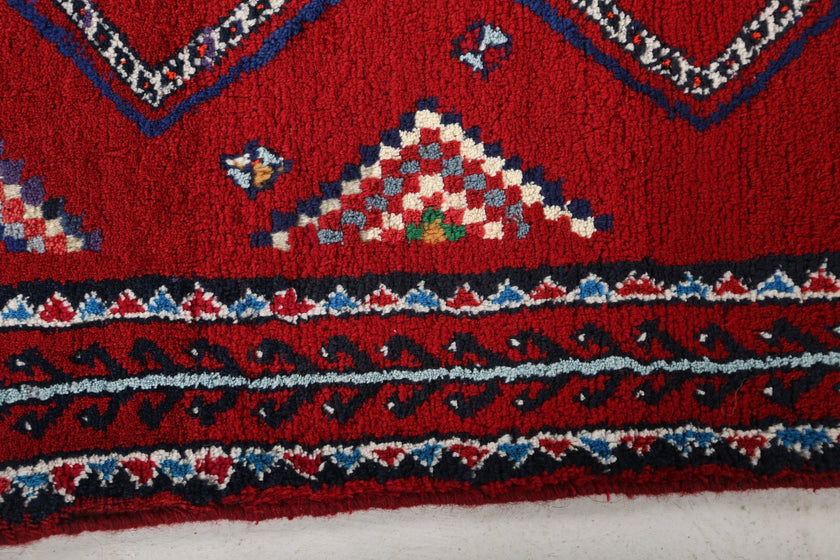 Persian Baluch Runner Rug | 2' 9