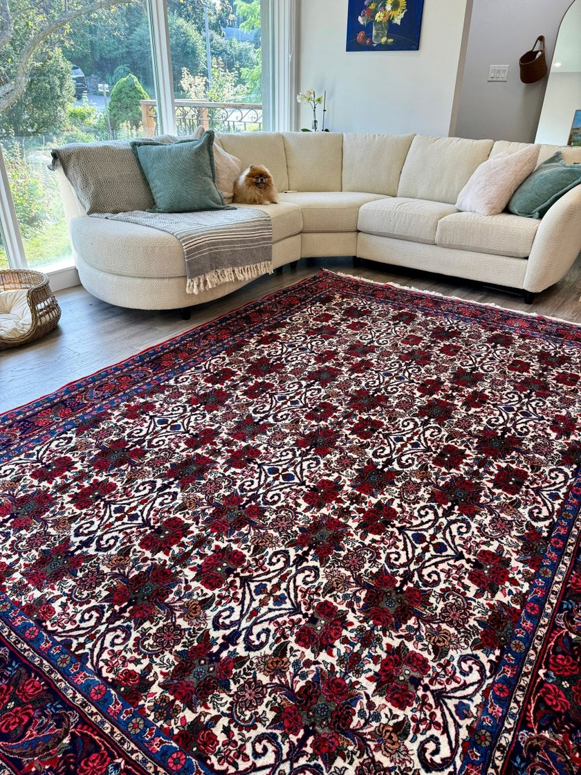 Persian Bidjar Halvai Rug | 7' 3