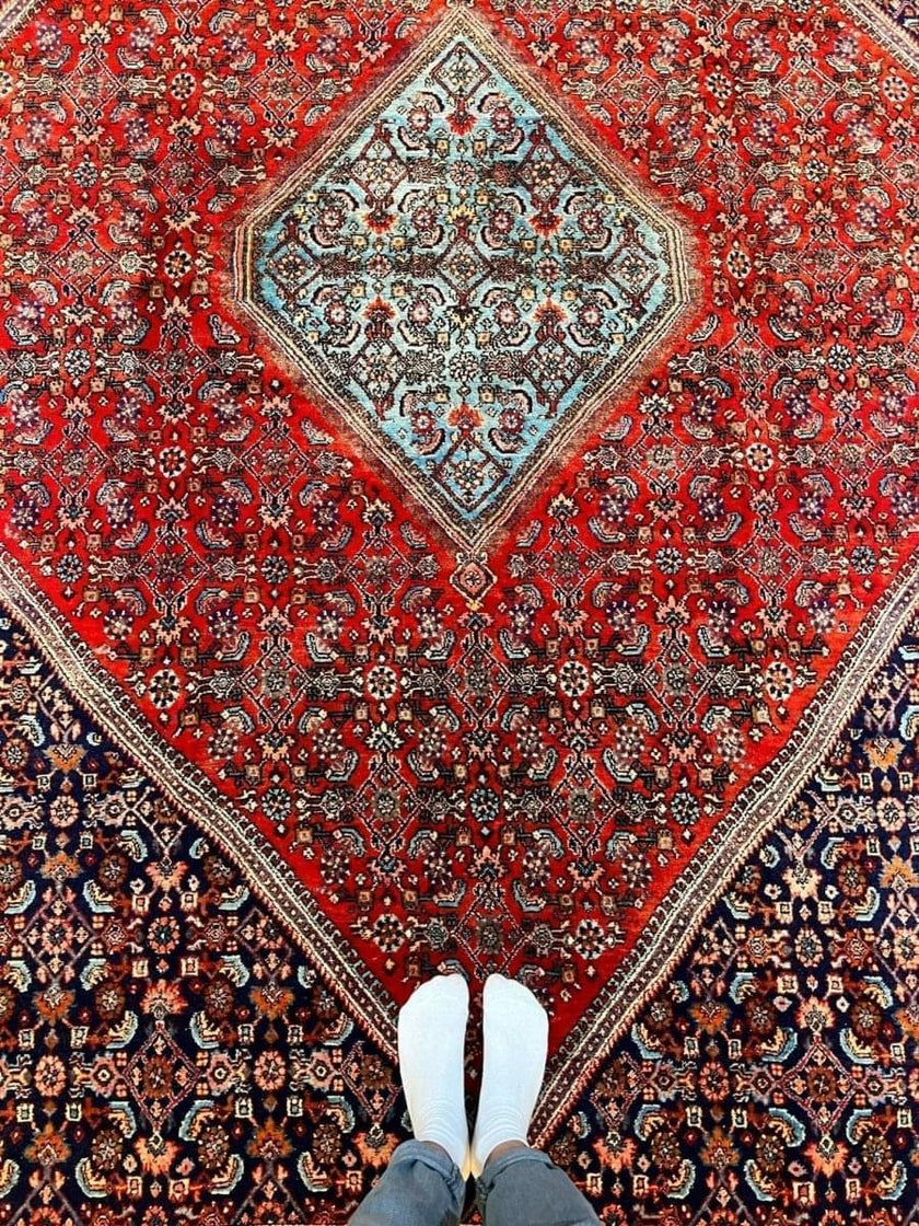 Persian Bidjar Rug | 10' 1