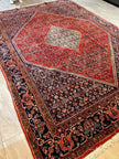 Persian Bidjar Rug | 10' 1