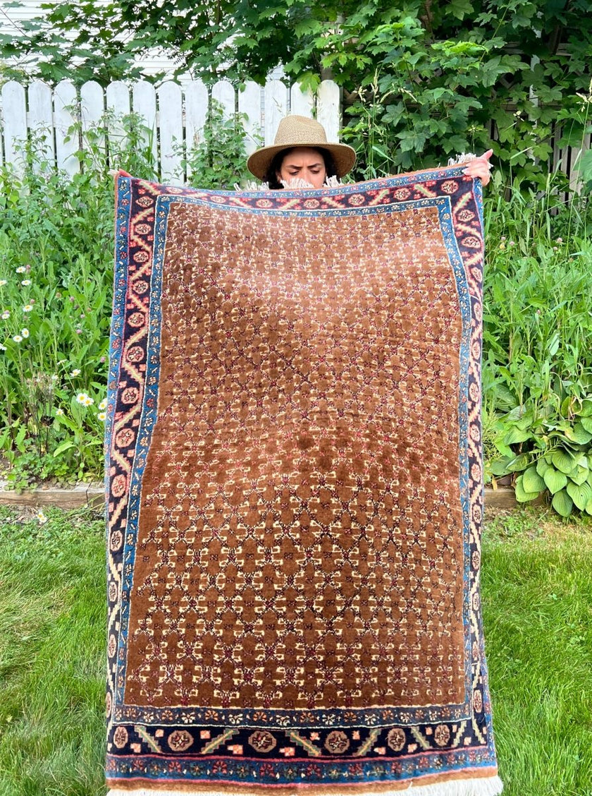 Persian Bidjar Rug | 3' 3