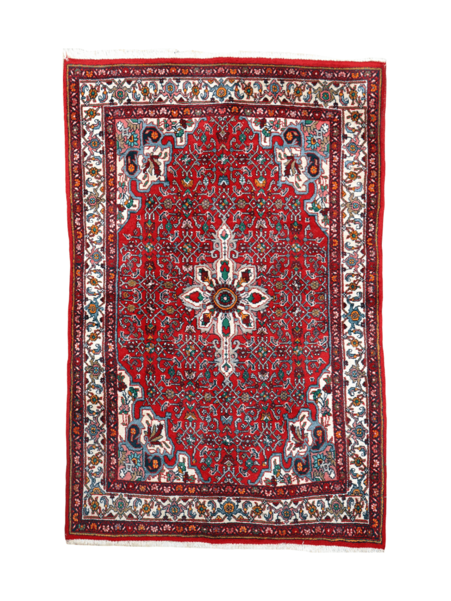 Persian Bidjar Rug | 3' 5
