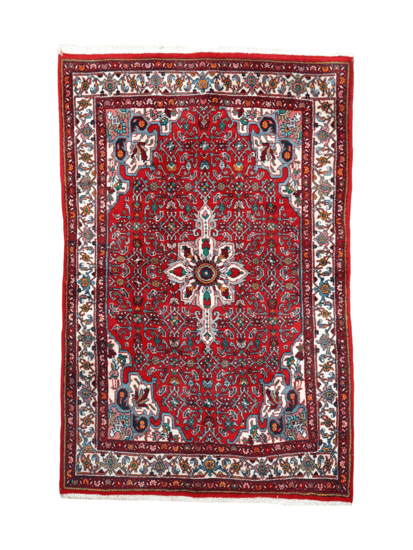 Persian Bidjar Rug | 3' 5