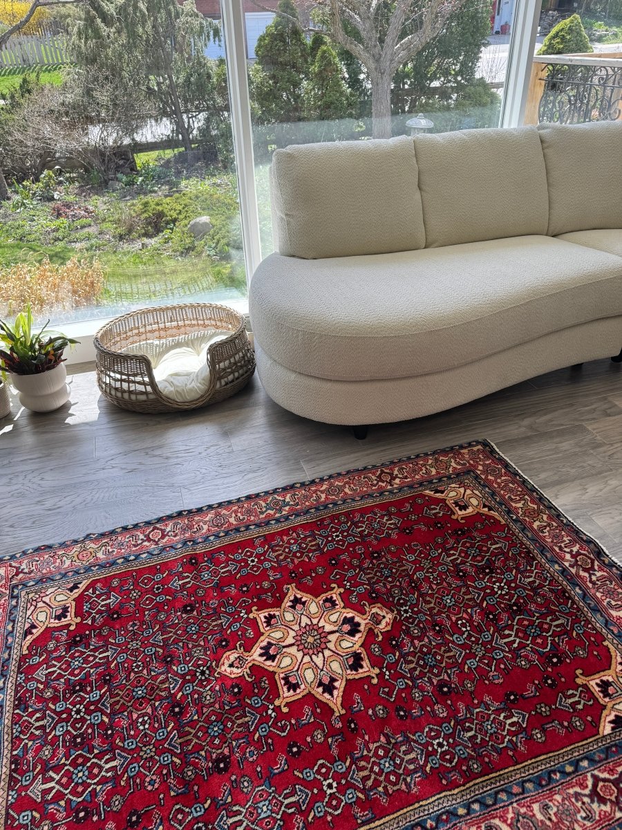 Persian Bidjar Rug | 3' 8