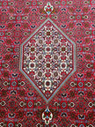 Persian Bidjar Rug | 6' 5