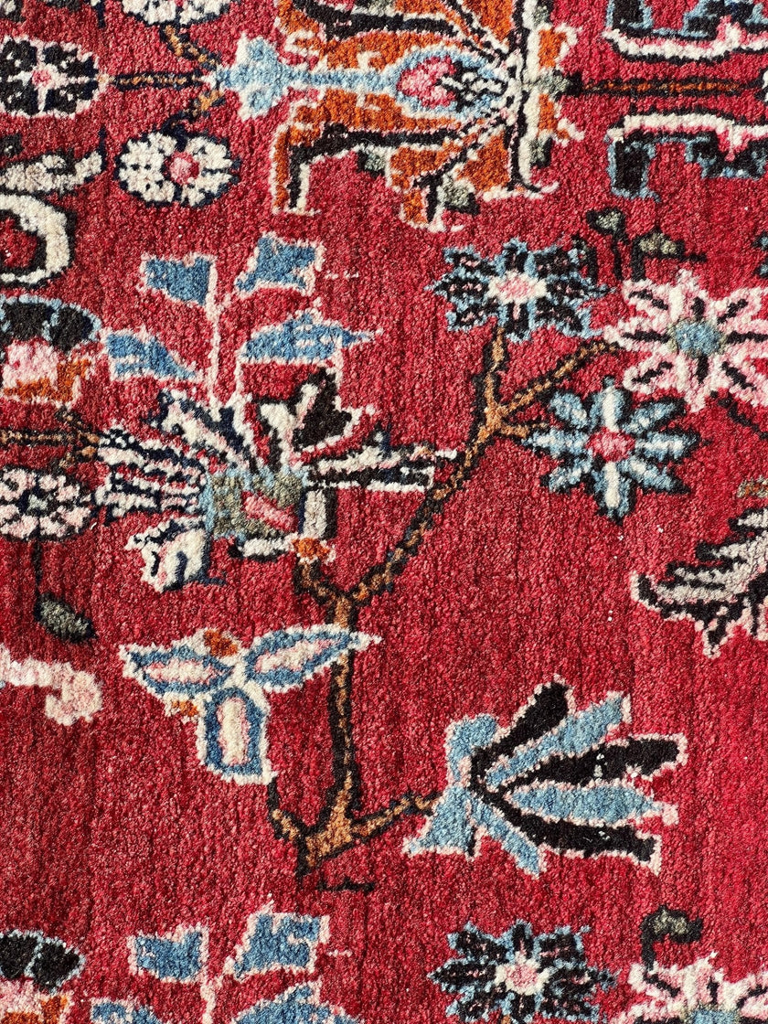 Persian Bidjar Rug | 8' 11