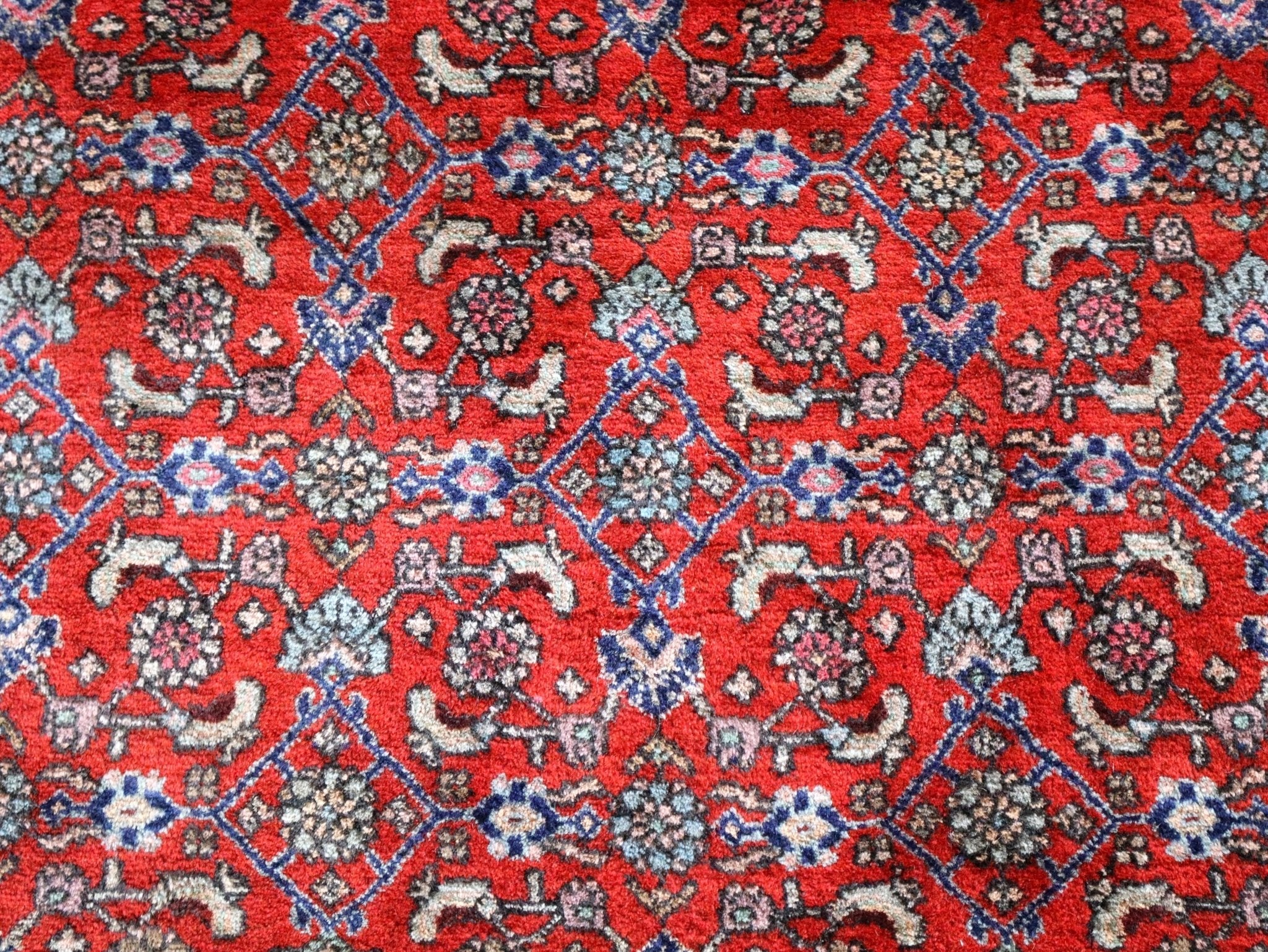 Persian Bidjar Rug | 8' 7