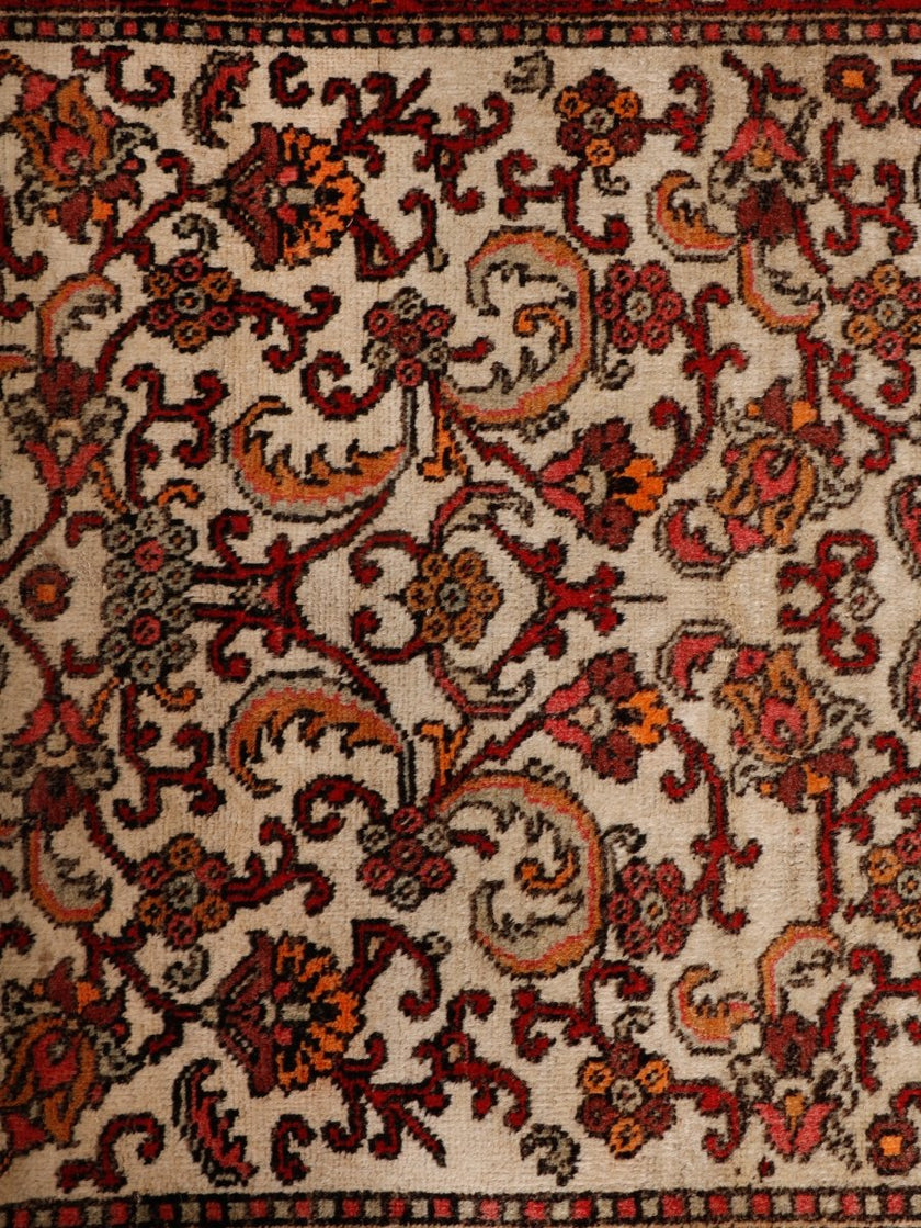 Persian Bidjar Runner Rug | 2' 4” x 6' 10