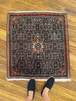 Persian Bijar Rug | 2' 6
