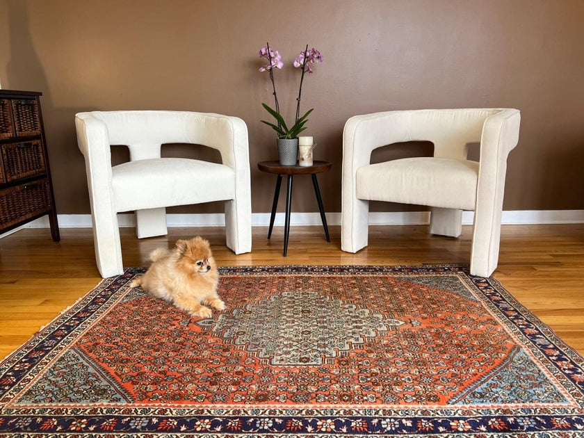 Persian Bijar Rug | 5' 7