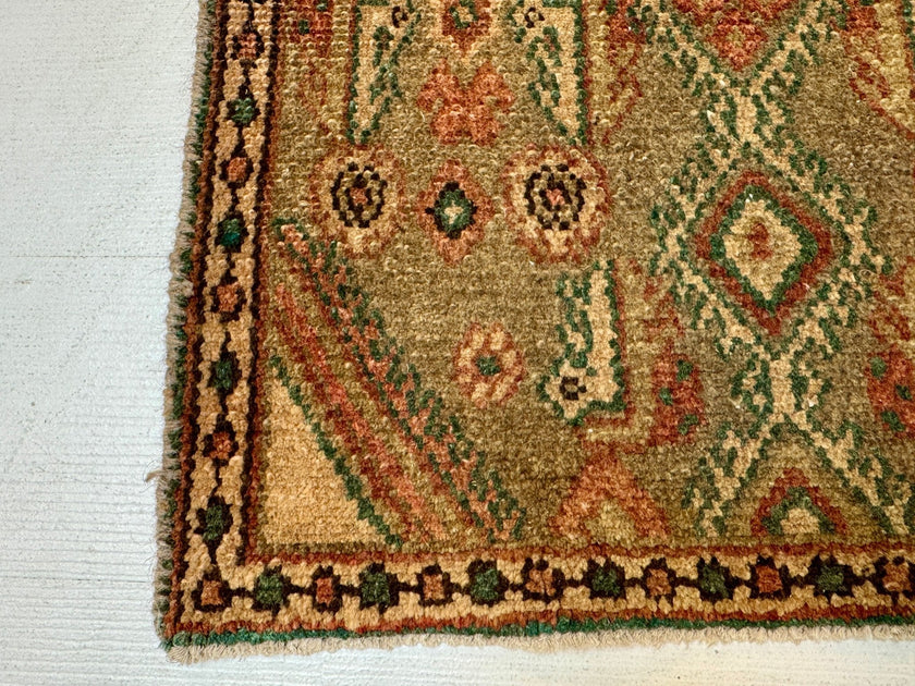 Persian Borujerd Runner Rug | 1' 10” x 6' 5