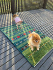 Persian Gabbeh Rug | 4' 1