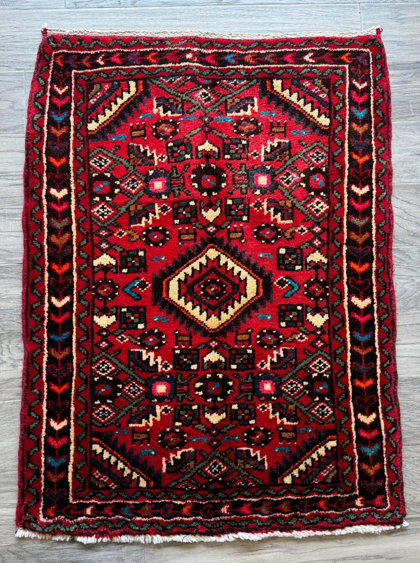 Persian Hamadan Rug | 2' 4